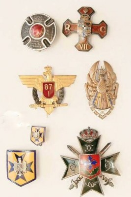 insigne regimentale1.jpg